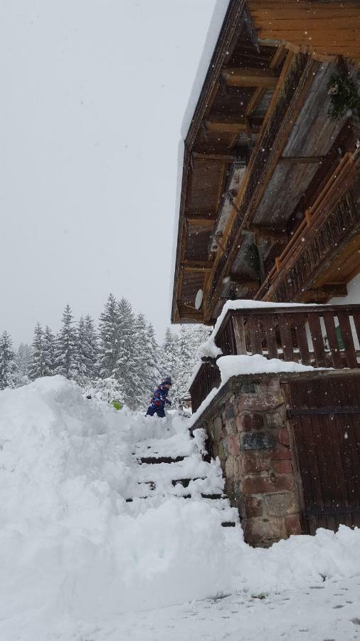 Oberseebachhof Scheffau am Wilden Kaiser Eksteriør billede